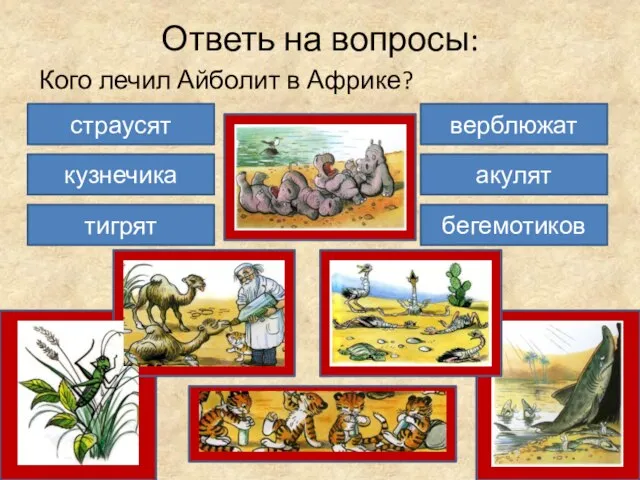 Ответь на вопросы: Кого лечил Айболит в Африке? акулят бегемотиков страусят кузнечика тигрят верблюжат