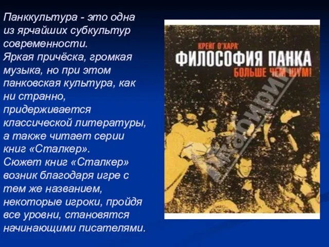 Панккультура - это одна из ярчайших субкультур современности. Яркая причёска, громкая музыка,