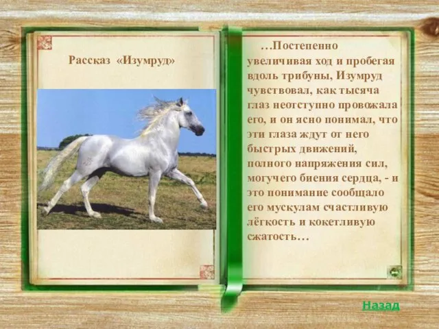 …Постепенно увеличивая ход и пробегая вдоль трибуны, Изумруд чувствовал, как тысяча глаз