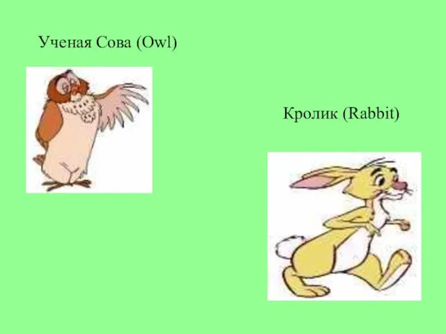 Ученая Сова (Owl) Кролик (Rabbit)