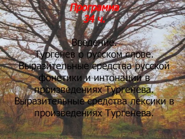 Программа 34 ч. Введение. Тургенев о русском слове. Выразительные средства русской фонетики