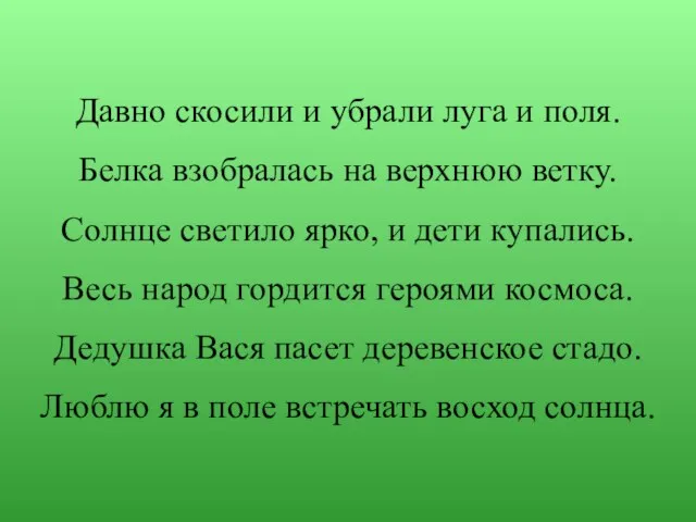 Давно скосили и убрали луга и поля. Белка взобралась на верхнюю ветку.