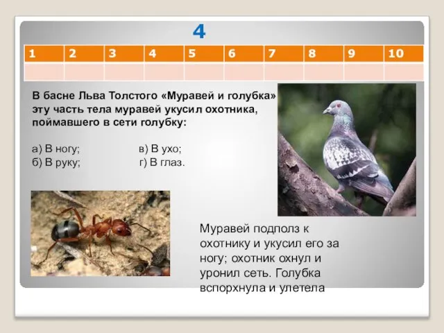 4 В басне Льва Толстого «Муравей и голубка» в эту часть тела