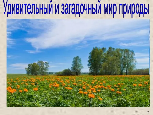 Удивительный и загадочный мир природы 2