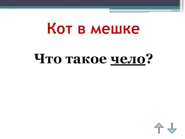 Кот в мешке Что такое чело?