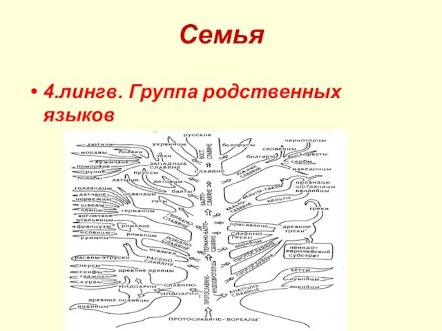 Семья 4.лингв. Группа родственных языков