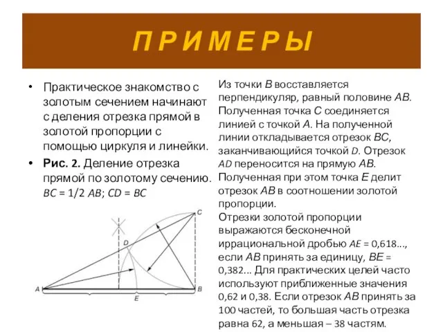 П Р И М Е Р Ы Практическое знакомство с золотым сечением