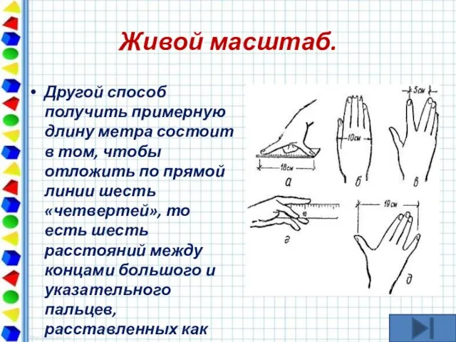 Живой масштаб. Другой способ получить примерную длину метра состоит в том, чтобы