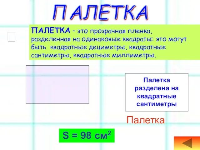 Палетка S = 98 см2 ПАЛЕТКА  ПАЛЕТКА – это прозрачная пленка,