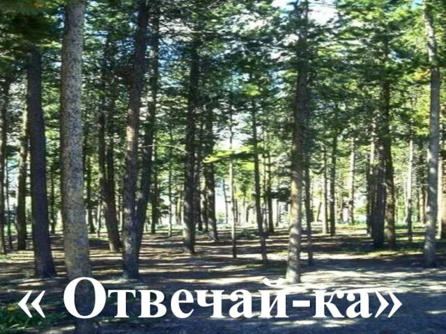 « Отвечай-ка»