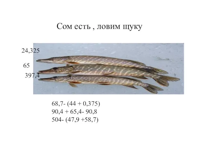 Сом есть , ловим щуку 68,7- (44 + 0,375) 90,4 + 65,4-