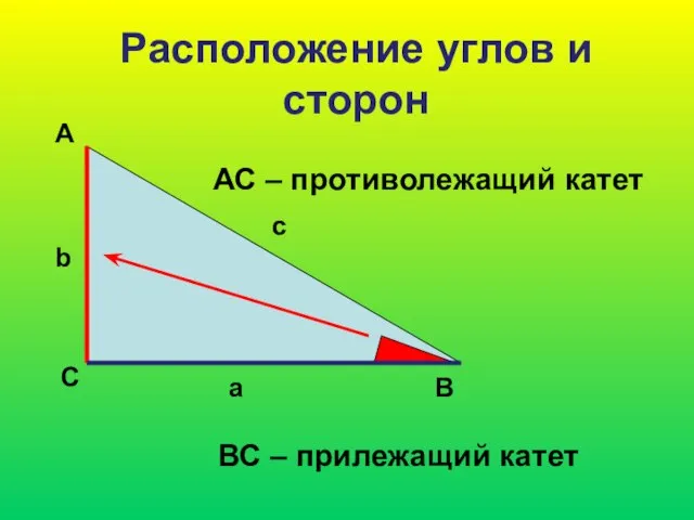 Расположение углов и сторон А С В b c a АС –