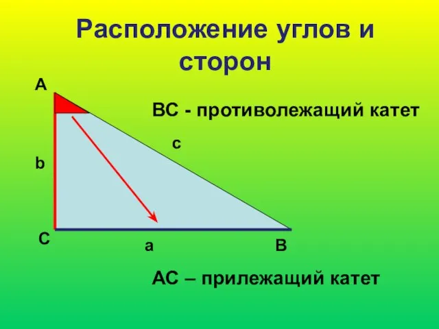 Расположение углов и сторон А С В b c a ВС -