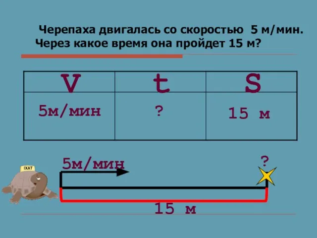 Черепаха двигалась со скоростью 5 м/мин. Через какое время она пройдет 15