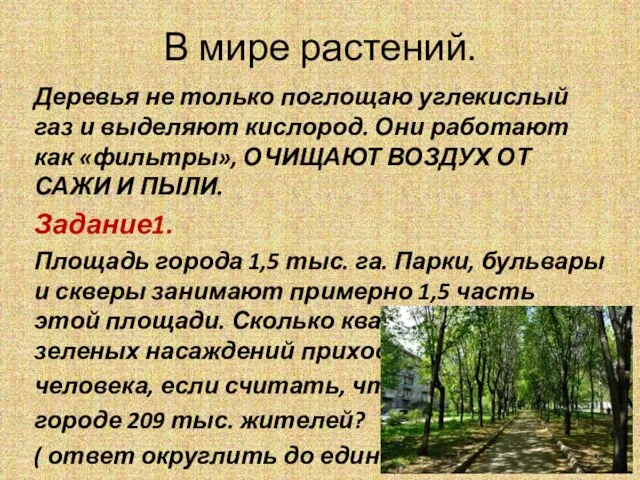 В мире растений. Деревья не только поглощаю углекислый газ и выделяют кислород.