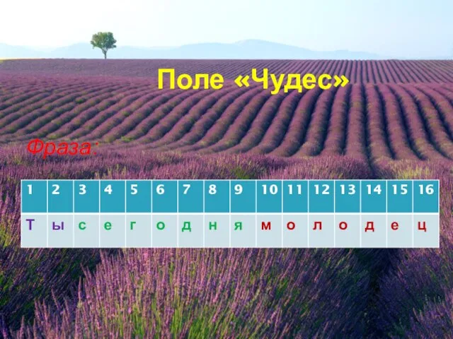 Поле «Чудес» Фраза: