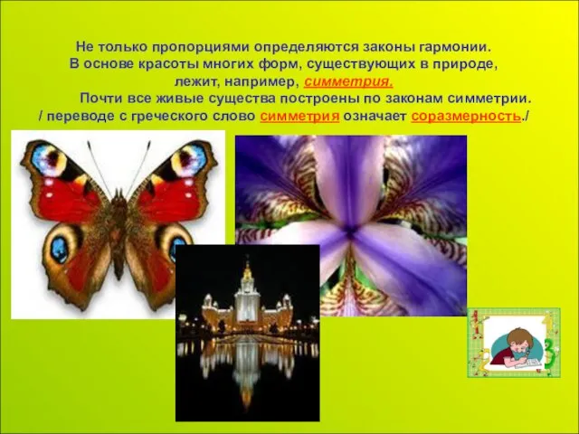 Не только пропорциями определяются законы гармонии. В основе красоты многих форм, существующих