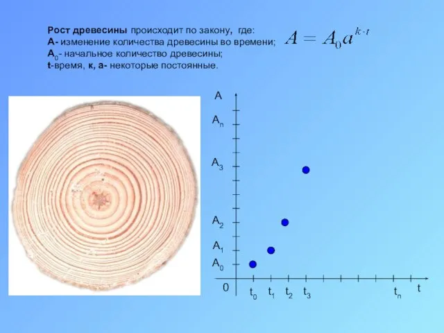 Рост древесины происходит по закону, где: A- изменение количества древесины во времени;
