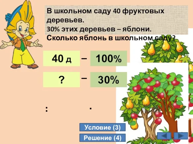 12 В школьном саду 40 фруктовых деревьев. 30% этих деревьев – яблони.