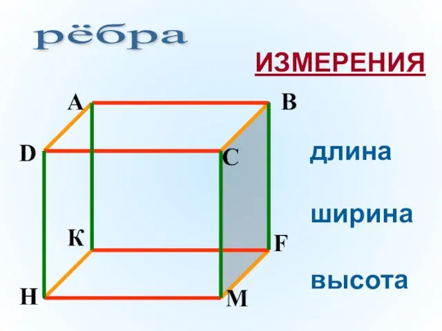 рёбра длина ширина высота ИЗМЕРЕНИЯ