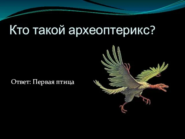 Кто такой археоптерикс? Ответ: Первая птица