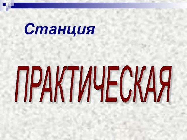 Станция ПРАКТИЧЕСКАЯ