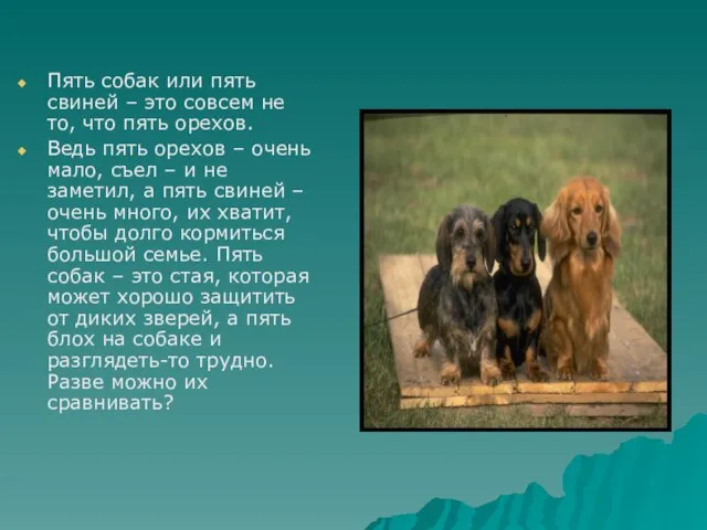 Пять собак или пять свиней – это совсем не то, что пять