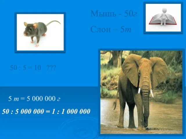 Мышь - 50г Слон – 5т 50 : 5 = 10 ???