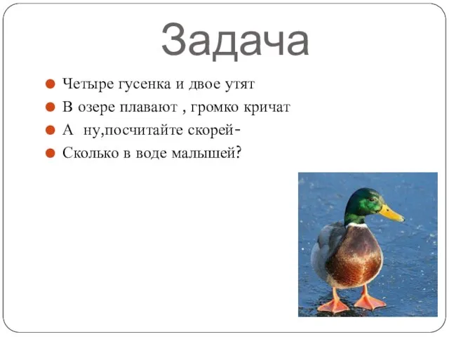 Задача Четыре гусенка и двое утят В озере плавают , громко кричат