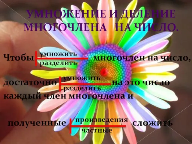 умножение и деление многочлена на число. Чтобы многочлен на число, достаточно на