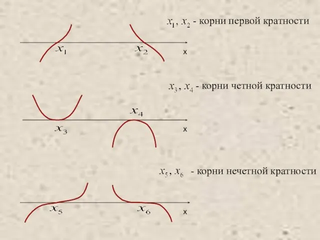 - корни первой кратности - корни четной кратности - корни нечетной кратности