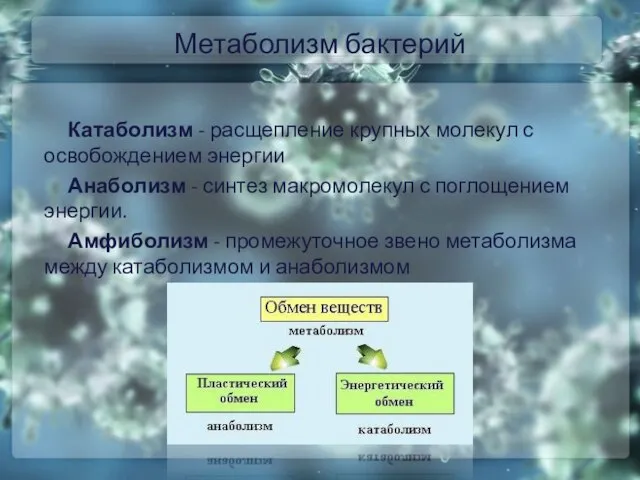 Метаболизм бактерий Катаболизм - расщепление крупных молекул с освобождением энергии Анаболизм -