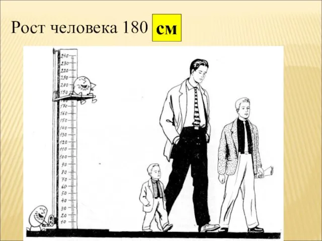 Рост человека 180 см