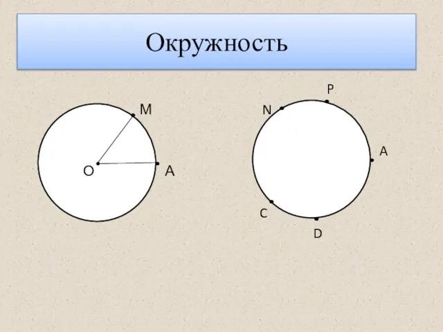 Окружность P М N A О А C D