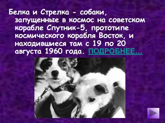 Белка и Стрелка - собаки, запущенные в космос на советском корабле Спутник-5,