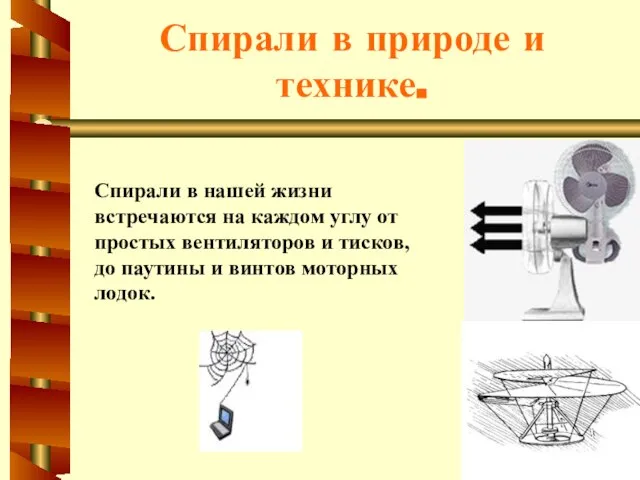 Спирали в природе и технике. Спирали в нашей жизни встречаются на каждом