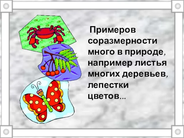 Примеров соразмерности много в природе, например листья многих деревьев, лепестки цветов...