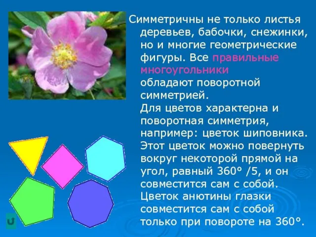 Симметричны не только листья деревьев, бабочки, снежинки, но и многие геометрические фигуры.