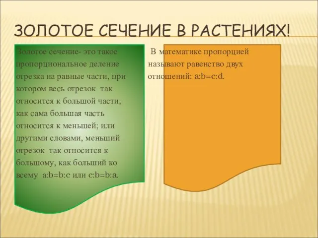 ЗОЛОТОЕ СЕЧЕНИЕ В РАСТЕНИЯХ! Золотое сечение- это такое В математике пропорцией пропорциональное