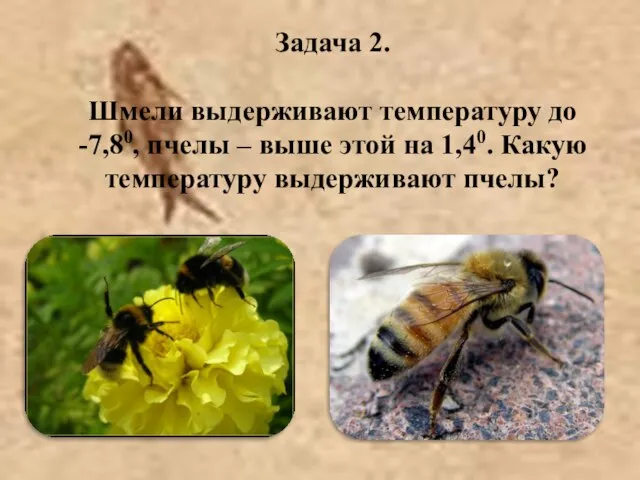 Задача 2. Шмели выдерживают температуру до -7,80, пчелы – выше этой на