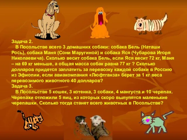 Задача 2. В Посольстве всего 3 домашних собаки: собака Бель (Наташи Рось),