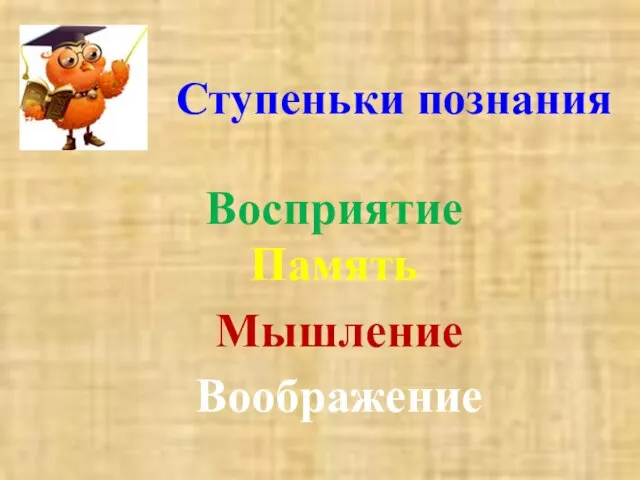 Ступеньки познания Восприятие Память Мышление Воображение