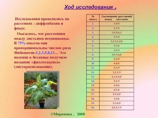 Ход исследования . Исследования проводились на растениях : диффенбахия и фикус. Оказалось,