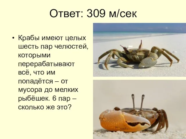 Ответ: 309 м/сек Крабы имеют целых шесть пар челюстей, которыми перерабатывают всё,