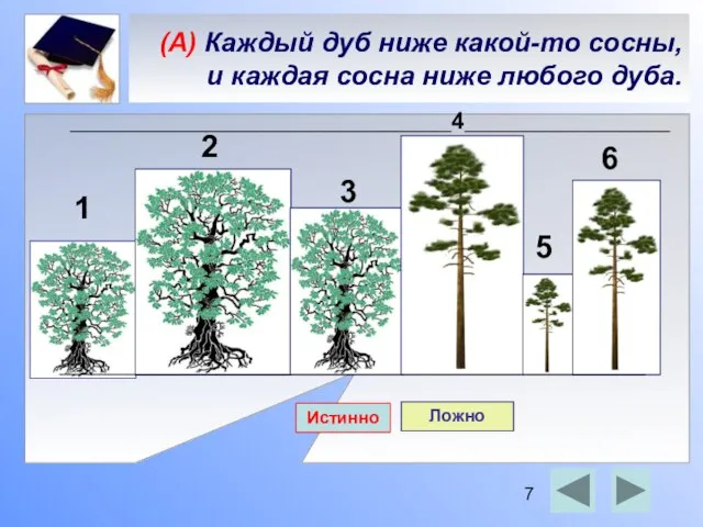 (А) Каждый дуб ниже какой-то сосны, и каждая сосна ниже любого дуба.