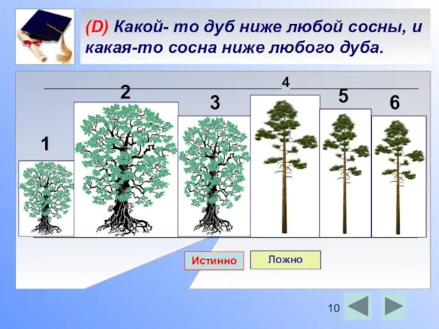 (D) Какой- то дуб ниже любой сосны, и какая-то сосна ниже любого