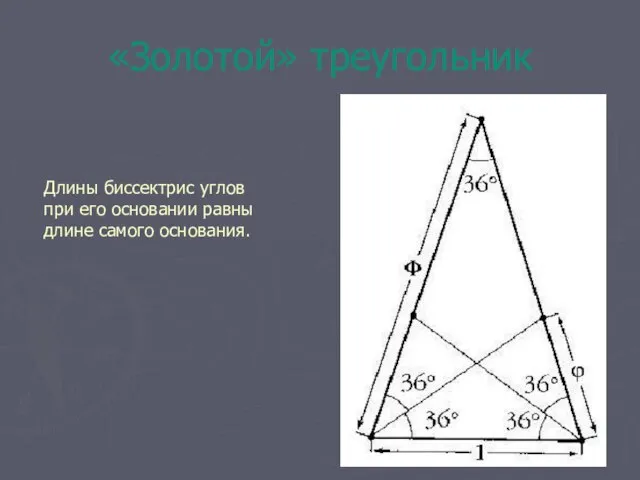 «Золотой» треугольник Длины биссектрис углов при его основании равны длине самого основания.