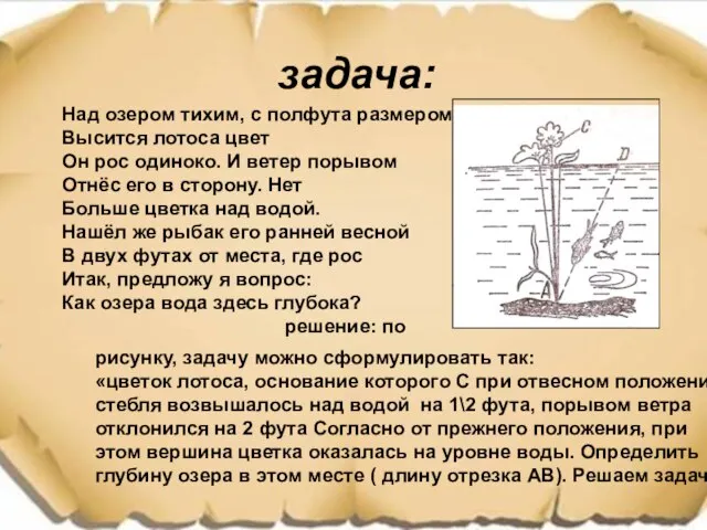 задача: Над озером тихим, с полфута размером, Высится лотоса цвет Он рос