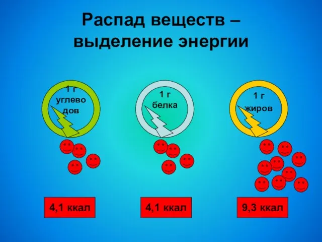 Распад веществ – выделение энергии 4,1 ккал 9,3 ккал 4,1 ккал 1 г жиров