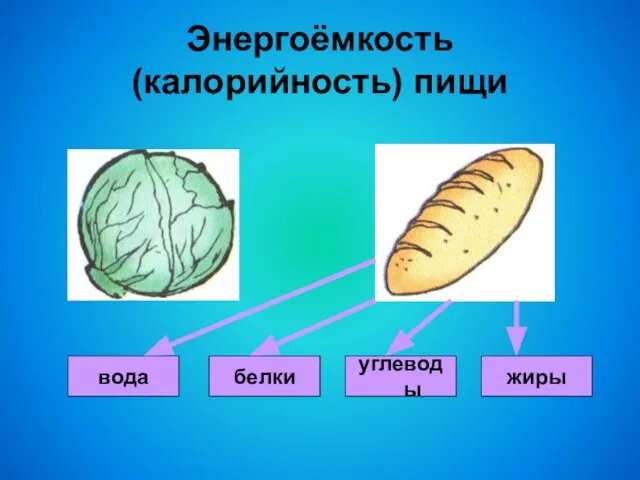 Энергоёмкость (калорийность) пищи вода жиры углеводы белки